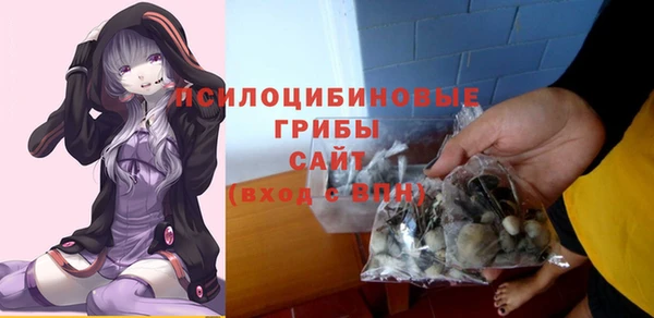 марихуана Абаза