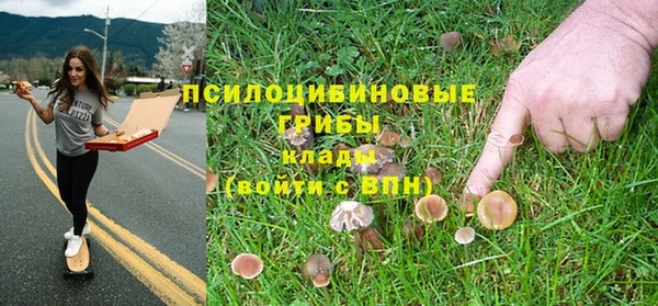 марихуана Абаза