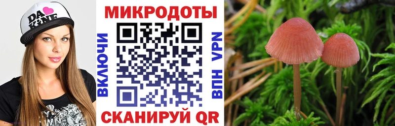 Галлюциногенные грибы Psilocybe  где продают наркотики  Нижняя Тура 